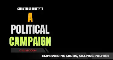 Trusts and Politics: Can They Donate to Campaigns?