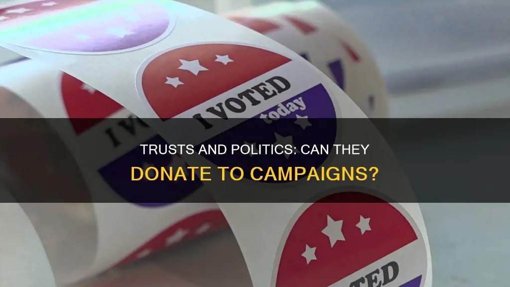 can a trust donate to a political campaign