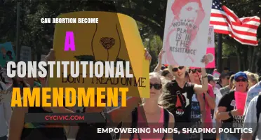 The Supreme Court's Abortion Battle: A Constitutional Amendment?
