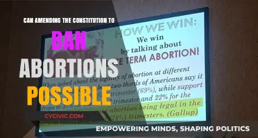 Amending Constitution to Ban Abortions: Feasible or Far-fetched?