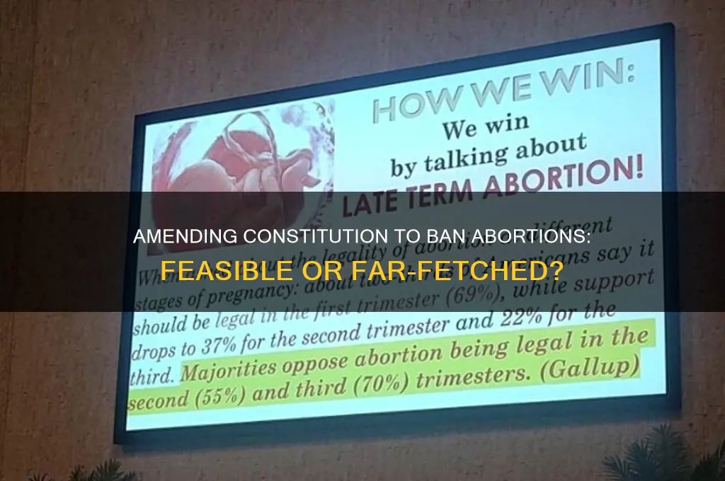 can amending the constitution to ban abortions possible