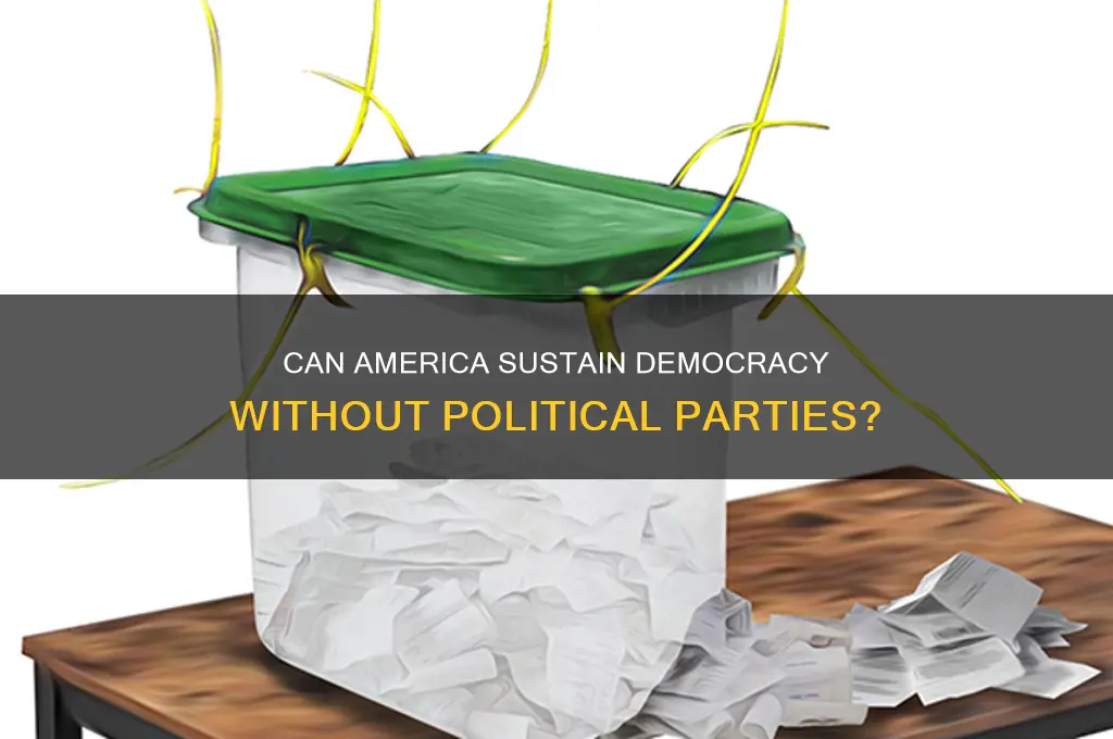 can america still have a democracy without political parties