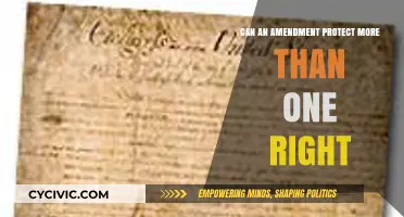 Amendments: Multiple Rights, One Protection