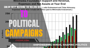 Tax-Funded Entities: Political Campaign Donations?