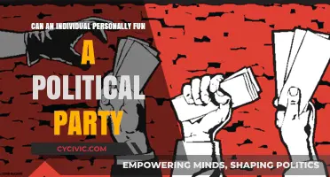 Can Individuals Personally Fund Political Parties? Legal and Ethical Insights