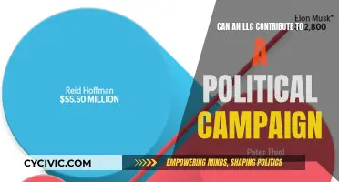 LLCs and Political Campaign Contributions: What's Allowed?