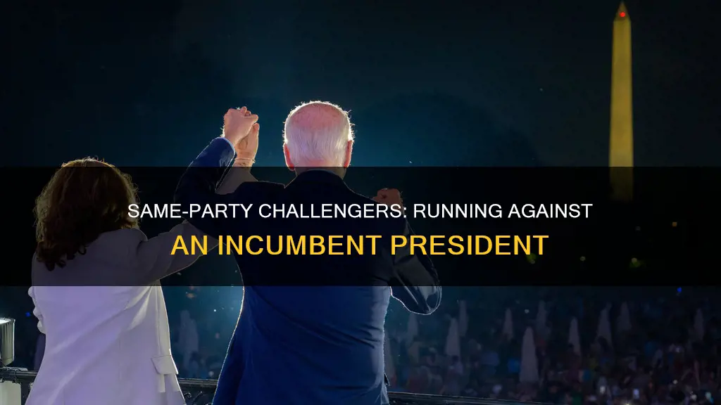can another canidate of same party run against the president
