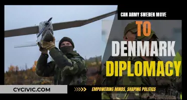 Sweden's Military Move: Denmark's Diplomatic Challenge