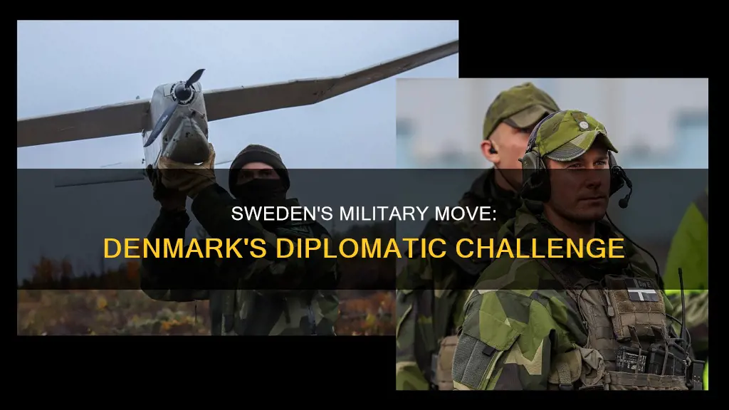 can army sweden move to denmark diplomacy