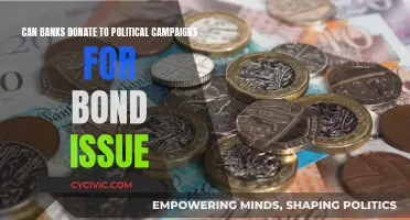 Banks' Political Donations: Bond Issue Influence?