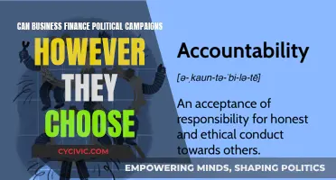 Business Financing of Political Campaigns: Unregulated?