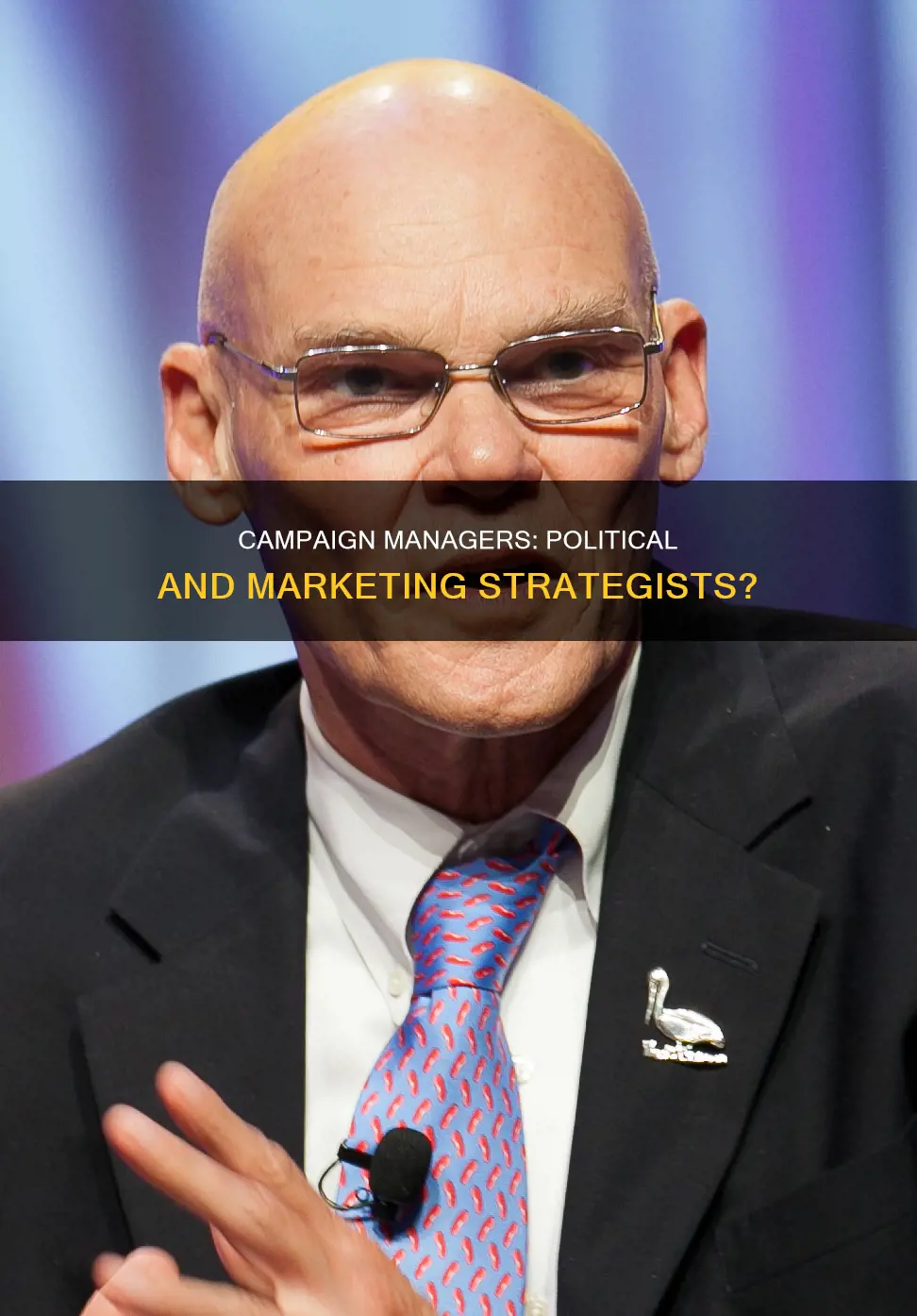 can campaign manager do politics and marketing