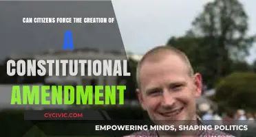 How Citizens Can Push for Constitutional Amendments