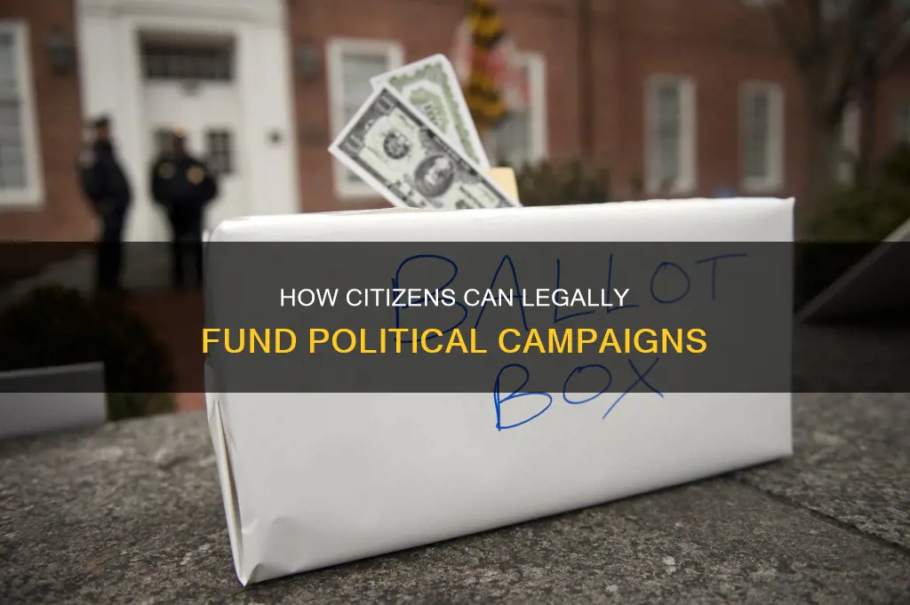 can citizens make contributions to political campaigns