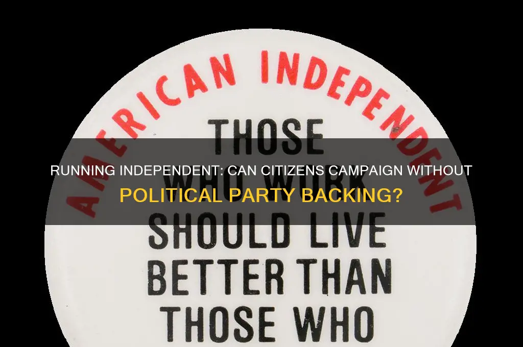 can citizens run for ofice without political party