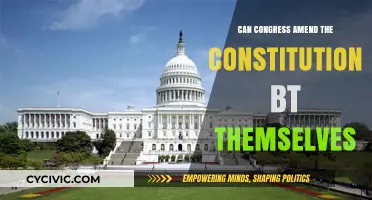 The Power to Amend: Congress and the Constitution