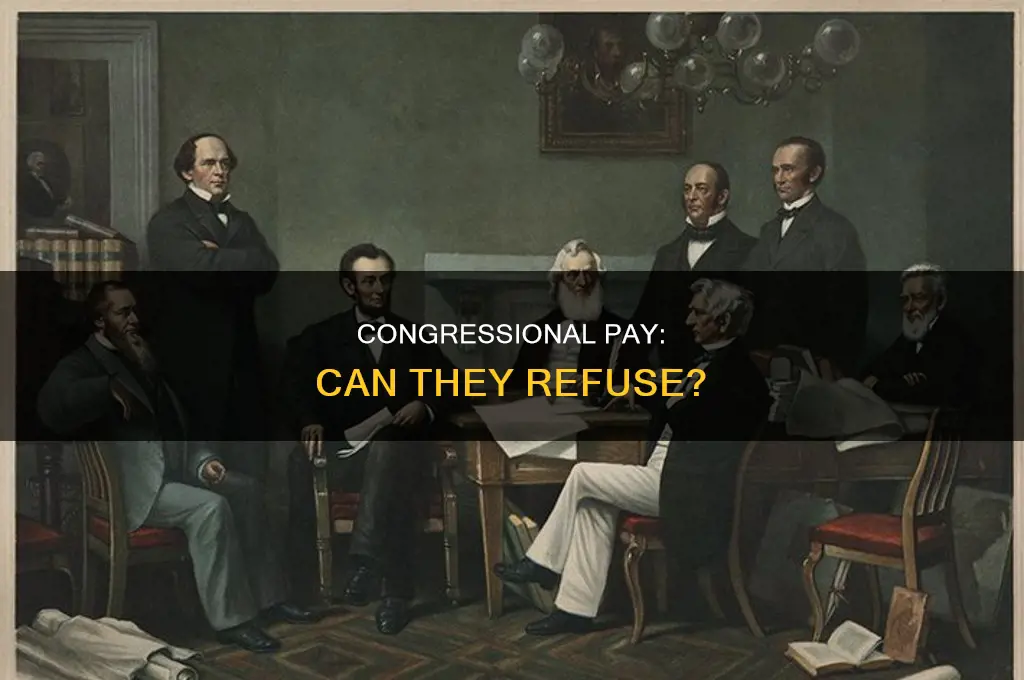 can congress refuse their pay constitutional amendment