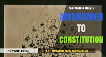 Congress' Power: Amending the Constitution