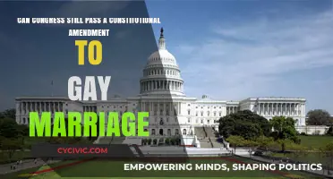 Congressional Power: Can They Amend Gay Marriage Rights?