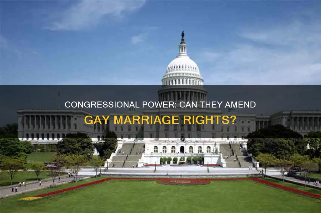 can congress still pass a constitutional amendment to gay marriage
