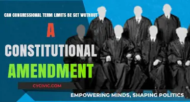 Term Limits: Can Congress Self-Regulate?