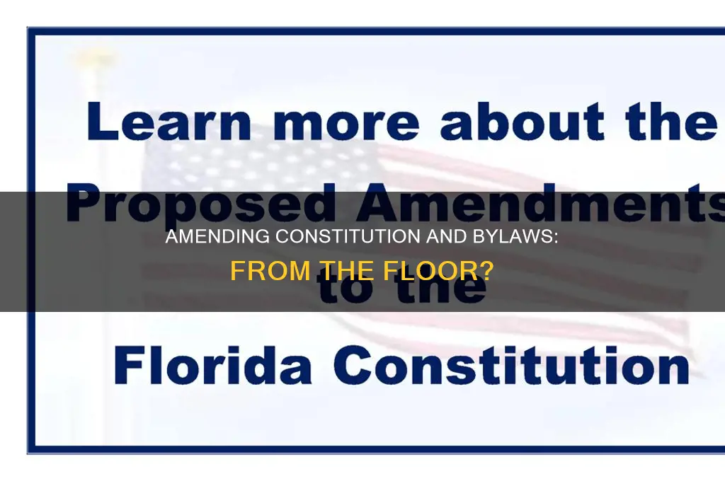 can constitution and bylaw changes be amended from the floor