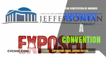 Amending the Constitution: Convention or Not?