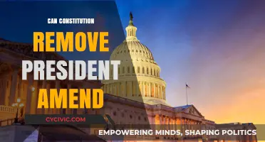 The Constitution's Power: Removing a President