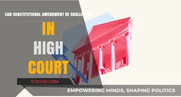 The Supreme Court and Constitutional Amendments: Challenge or Harmony?