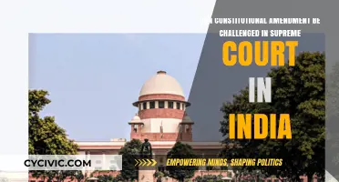 Supreme Court and Constitutional Amendments: Challenge or Harmony?