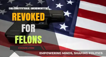 Revoking Constitutional Amendments: Felons' Rights in Focus