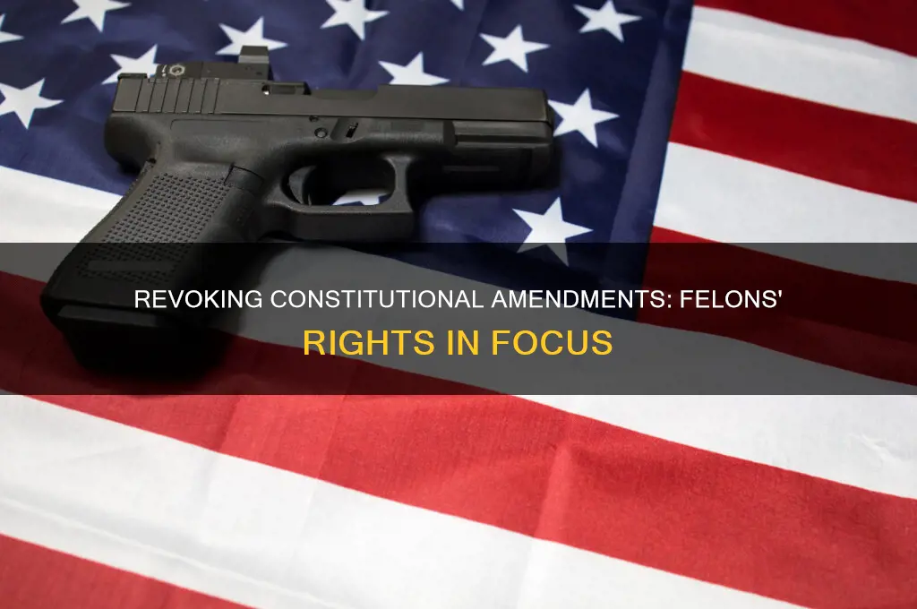 can constitutional amendments be revoked for felons