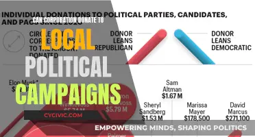 Corporate Political Donations: Local Campaigns and Business Influence