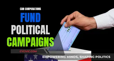 Corporate Money in Politics: Who Benefits?