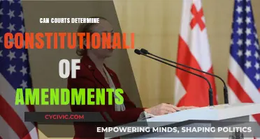 Judiciary Power: Constitutional Amendments Review