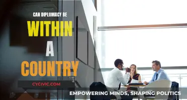 Domestic Diplomacy: Navigating Internal Affairs with Tact