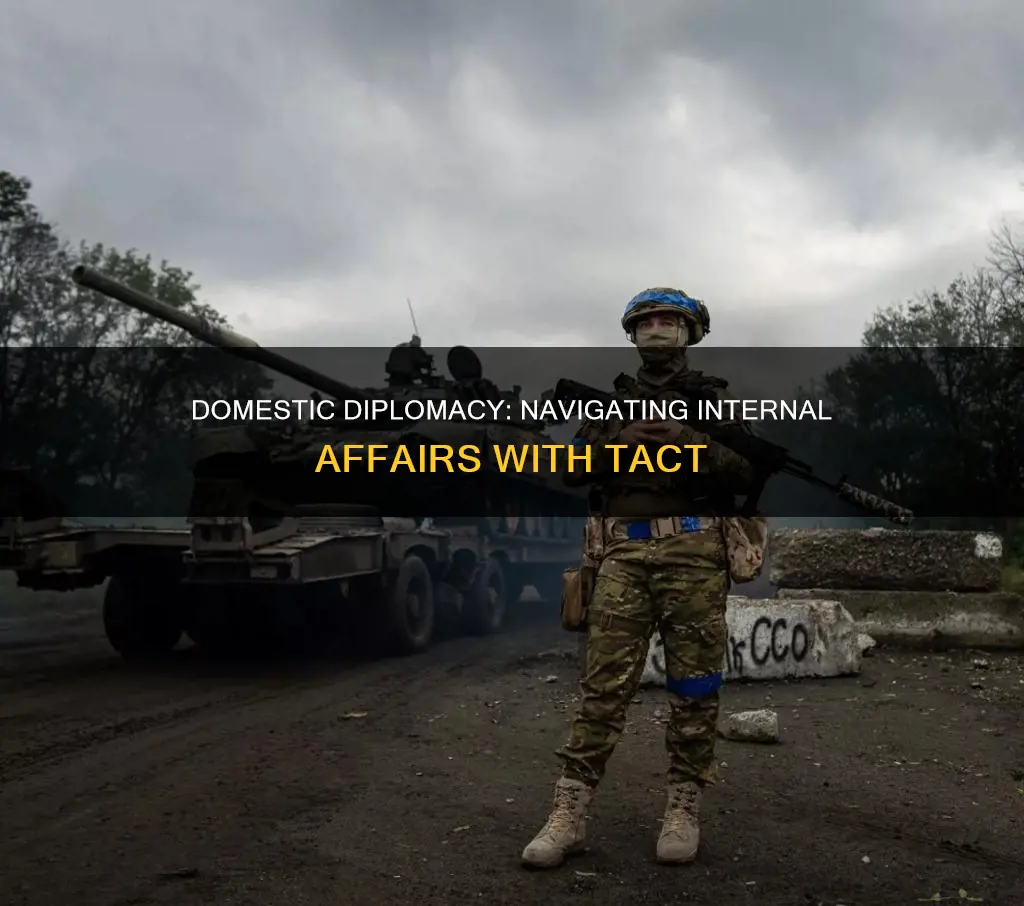 can diplomacy be within a country