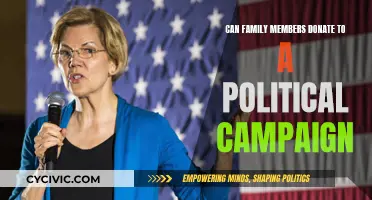 Family Political Donations: Legality and Ethical Boundaries