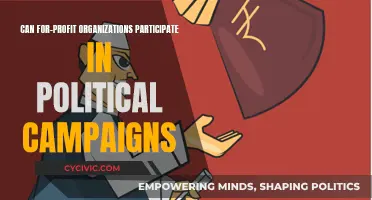 Political Campaigns: For-Profit Organizations' Role?