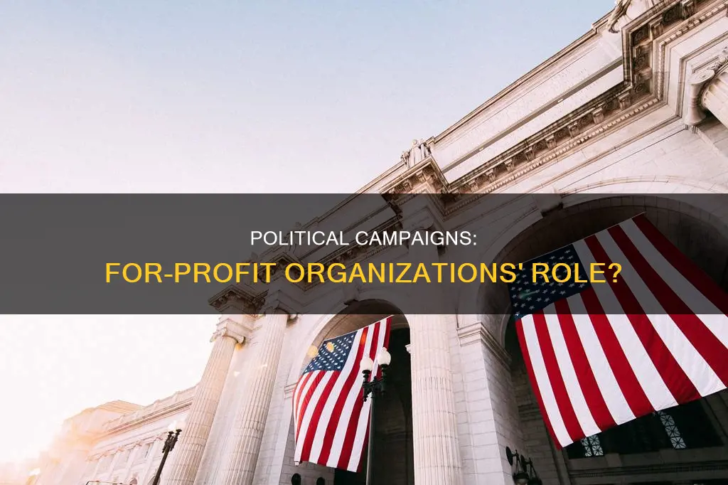 can for-profit organizations participate in political campaigns