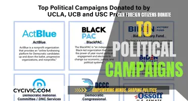 Foreign Donors and Political Campaigns: Legality and Limits