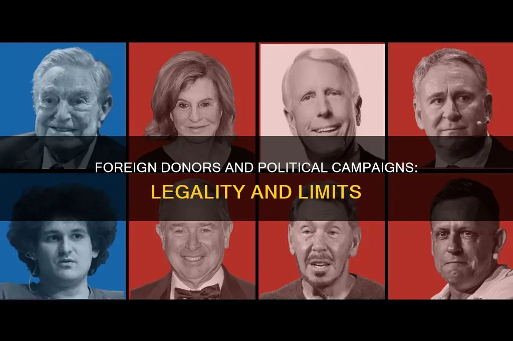 can foreign citizens donate to political campaigns