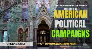 Foreign Money in US Politics: Legal?