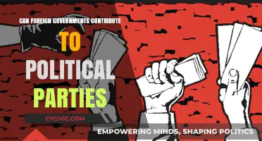 Foreign Funding for Political Parties: Legal, Ethical, or Risky?
