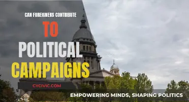 Foreign Political Campaign Contributions: Legal or Not?