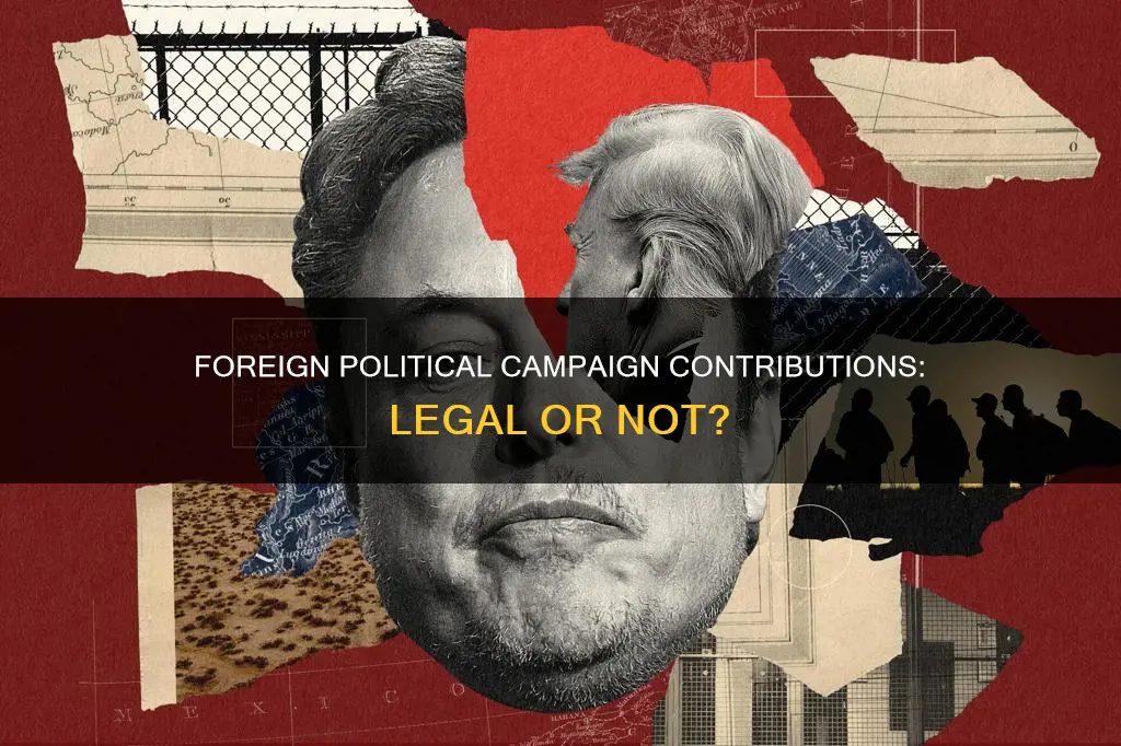 can foreigners contribute to political campaigns