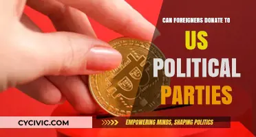 Can Foreigners Donate to US Political Parties? Legal Insights Explained