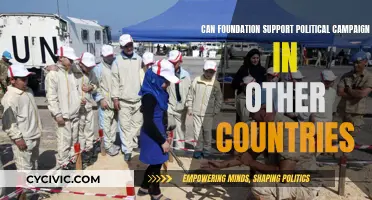 Foreign Political Campaigning: Can Foundations Intervene?