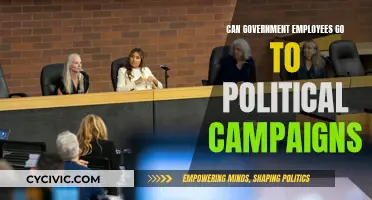Political Campaigns: Can Government Employees Participate?