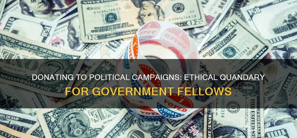 can government fellows donate political campaigns